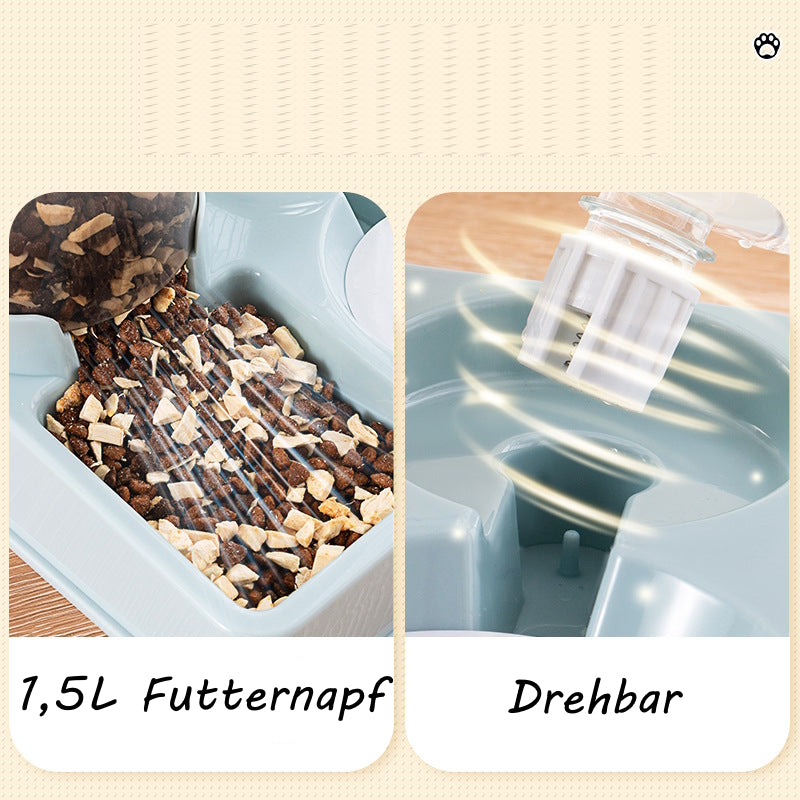 Hunde für Anfänger