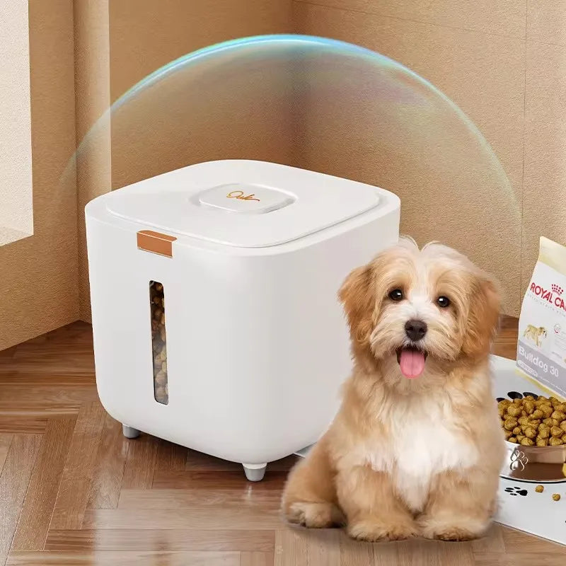 Hunde für Anfänger
