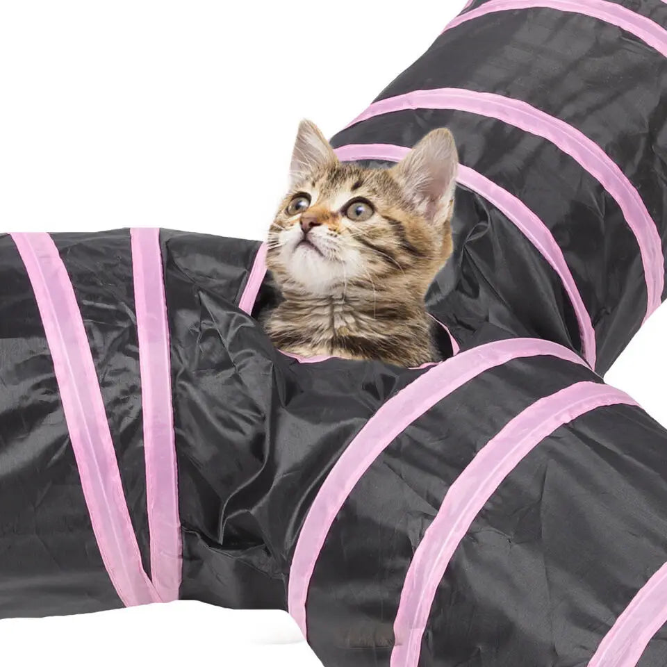Katzenbaby