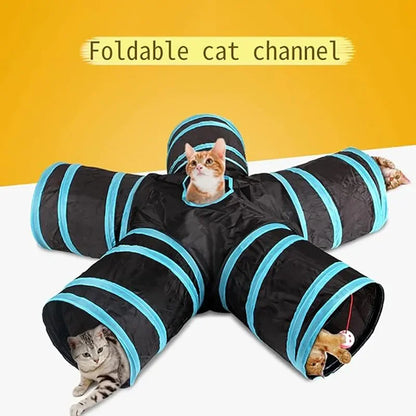 Katzenbaby