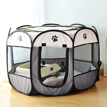 Hunde Welpen