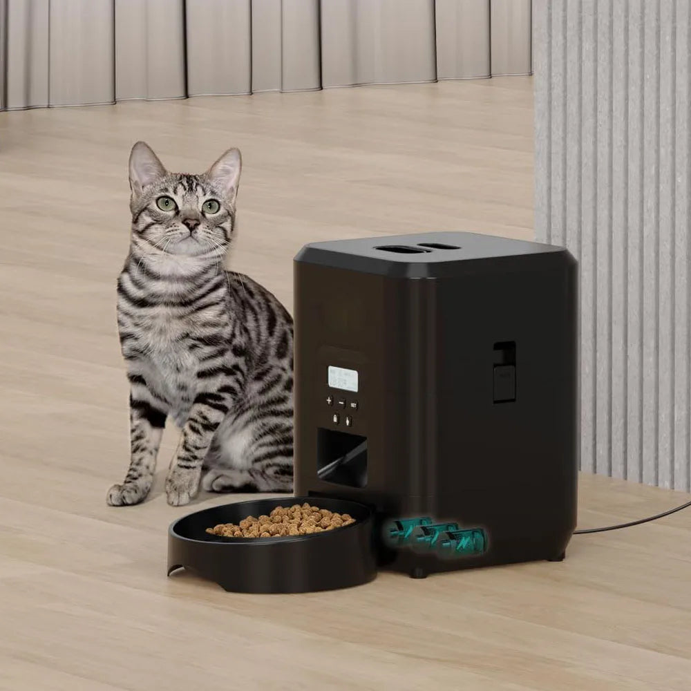 Katze frisst viel