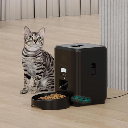 Katze frisst viel