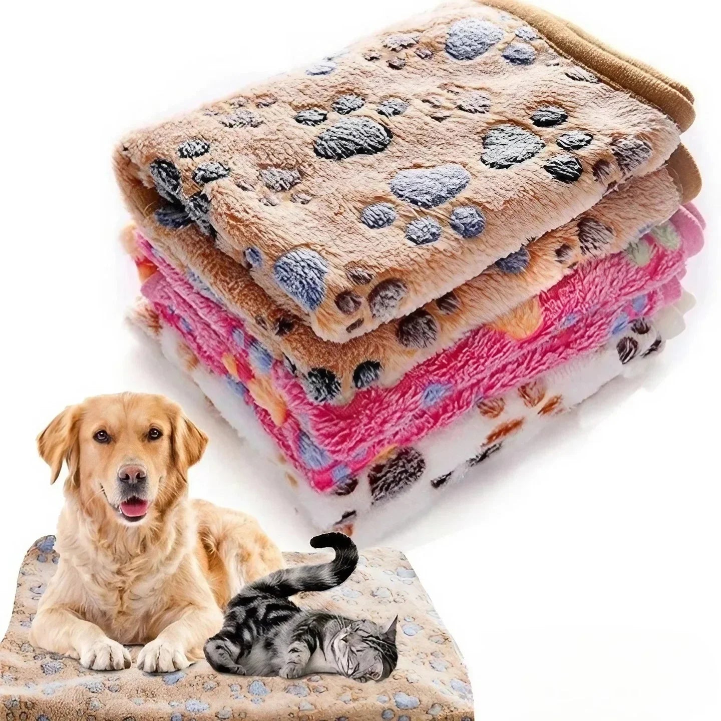 Hunde Welpen