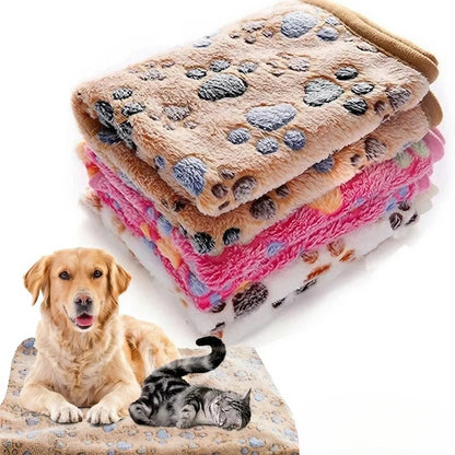 Hunde Welpen