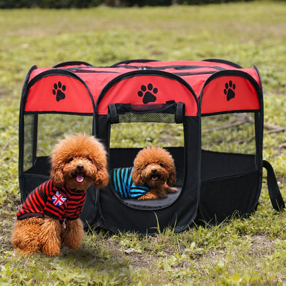 Hunde Welpen