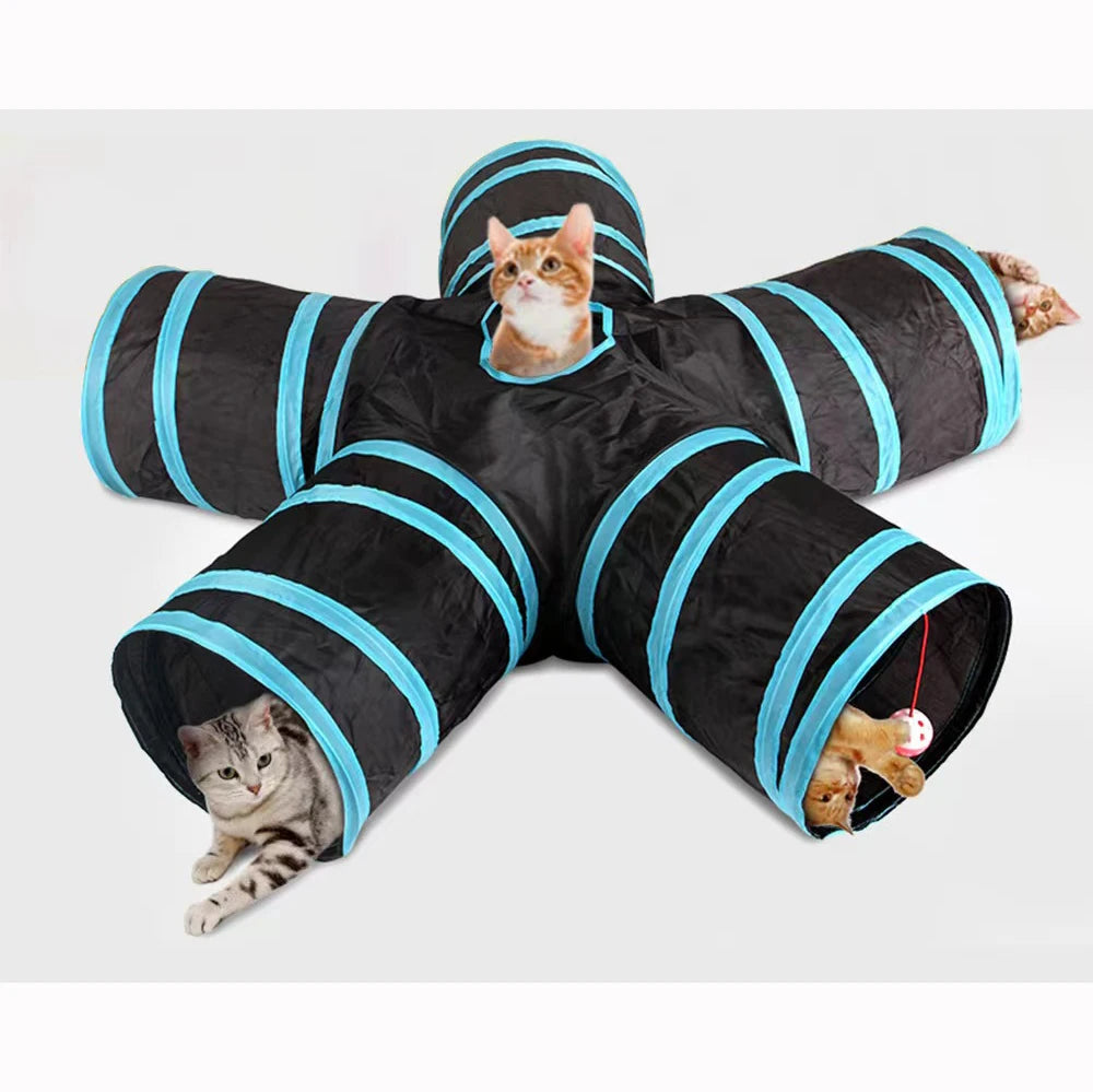 Katzenbaby