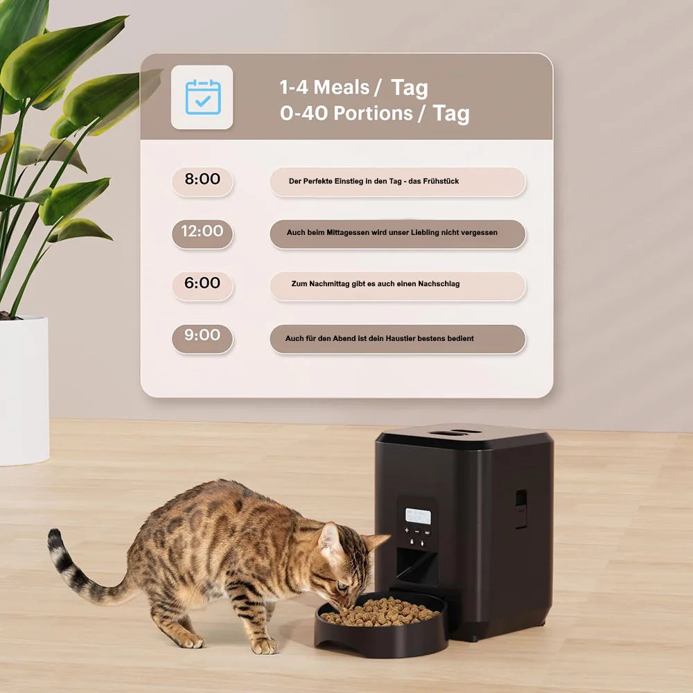 Katze frisst viel